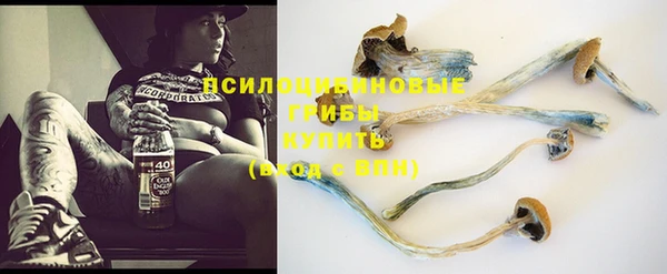 дмт Белоозёрский