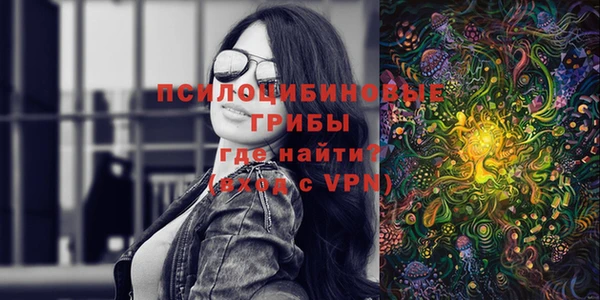 ешки Белокуриха