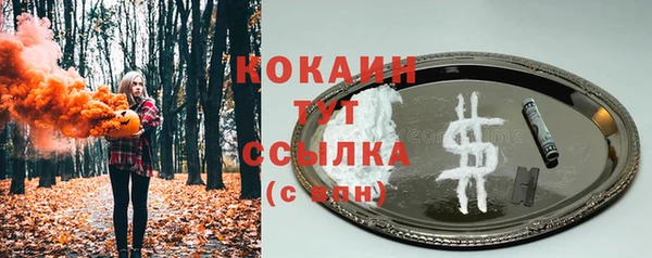 ешки Белокуриха