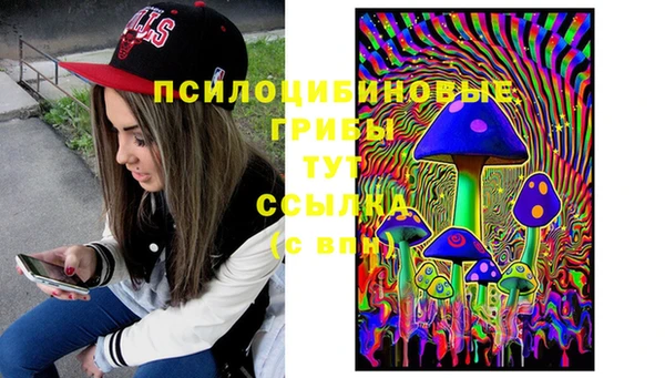 ПСИЛОЦИБИНОВЫЕ ГРИБЫ Беломорск
